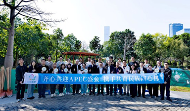 青春之歌|中手游党总支参与深圳梅林街道植树节主题活动